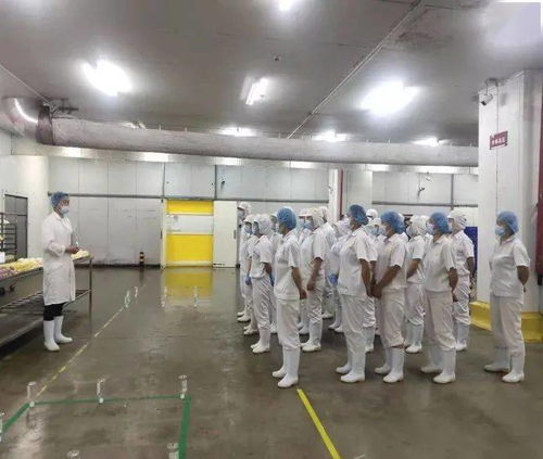 勞動競賽進行時，技能比武展風采，提質增效創佳績——中百生鮮公司中式面點加工廠職業技能大賽小記